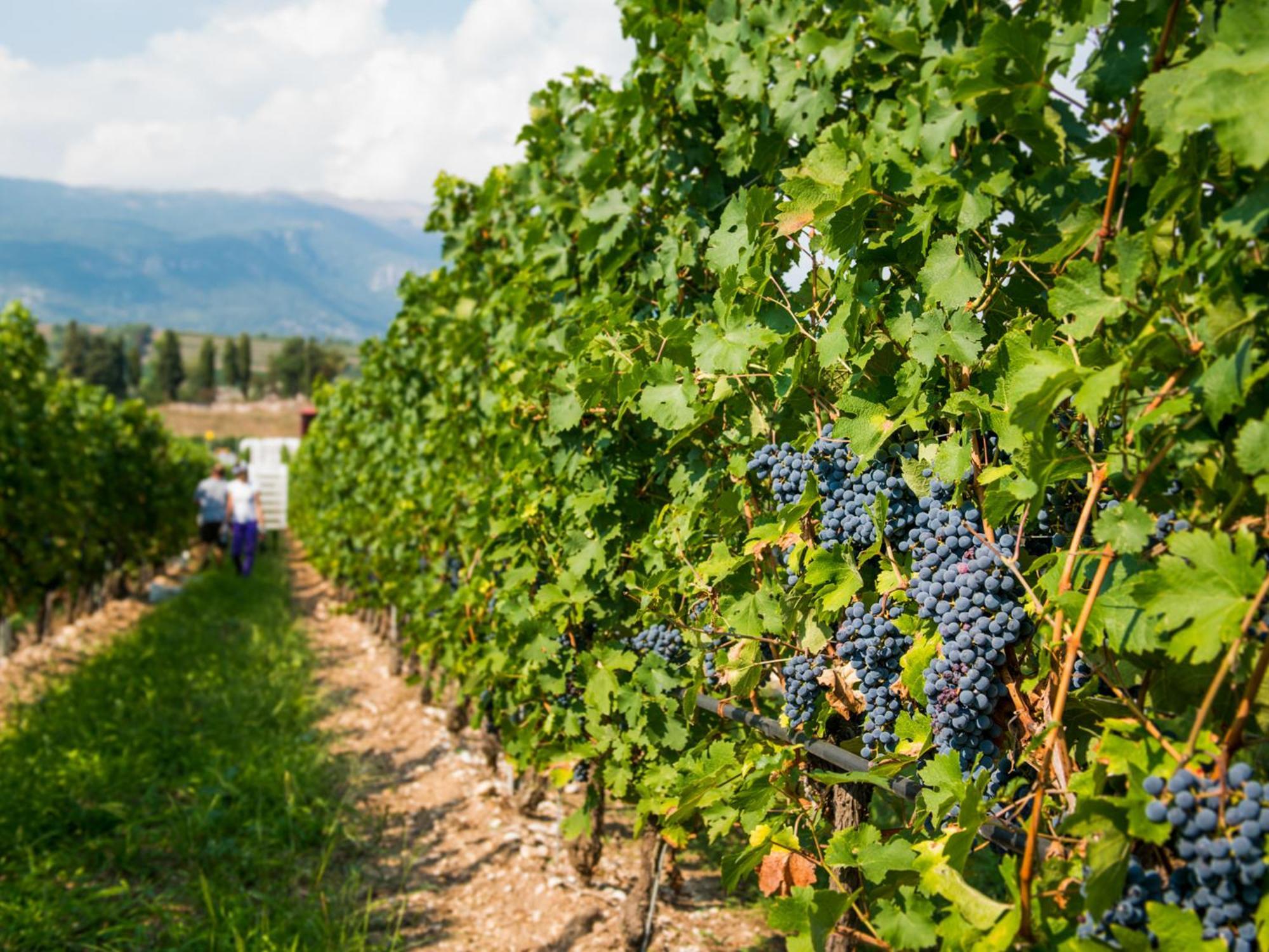 Tenuta La Presa Caprino Veronese Bagian luar foto