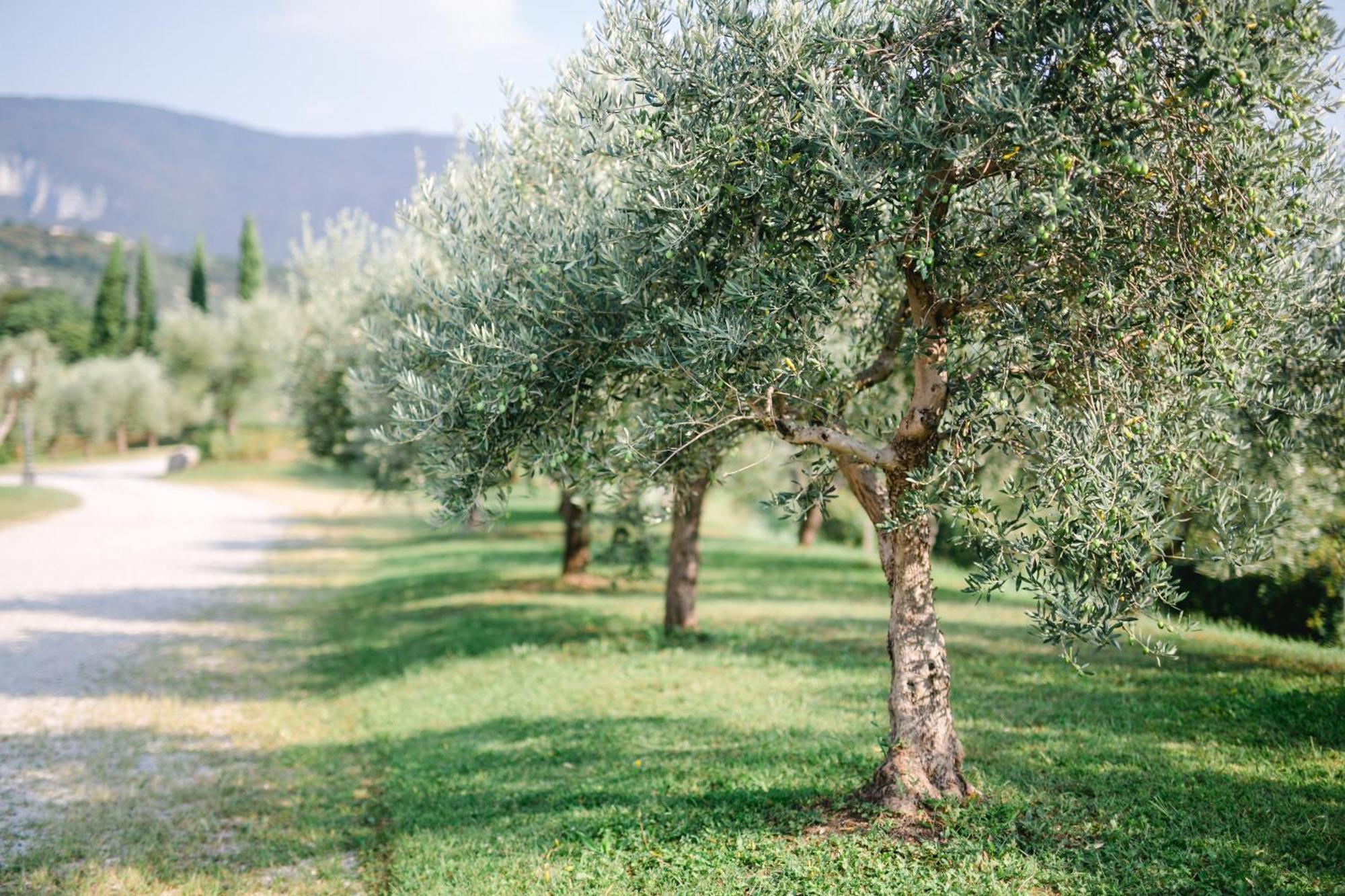 Tenuta La Presa Caprino Veronese Bagian luar foto