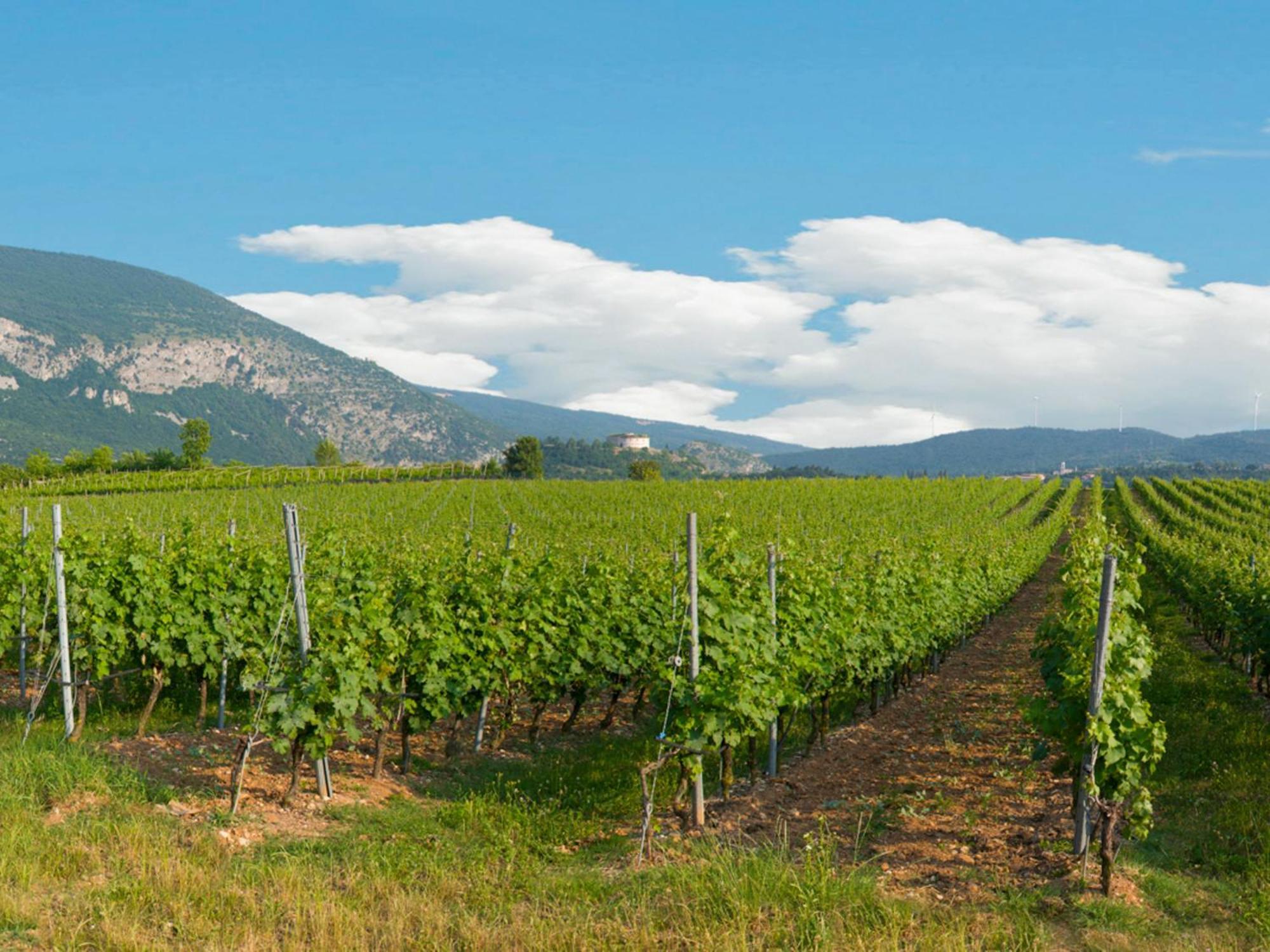 Tenuta La Presa Caprino Veronese Bagian luar foto