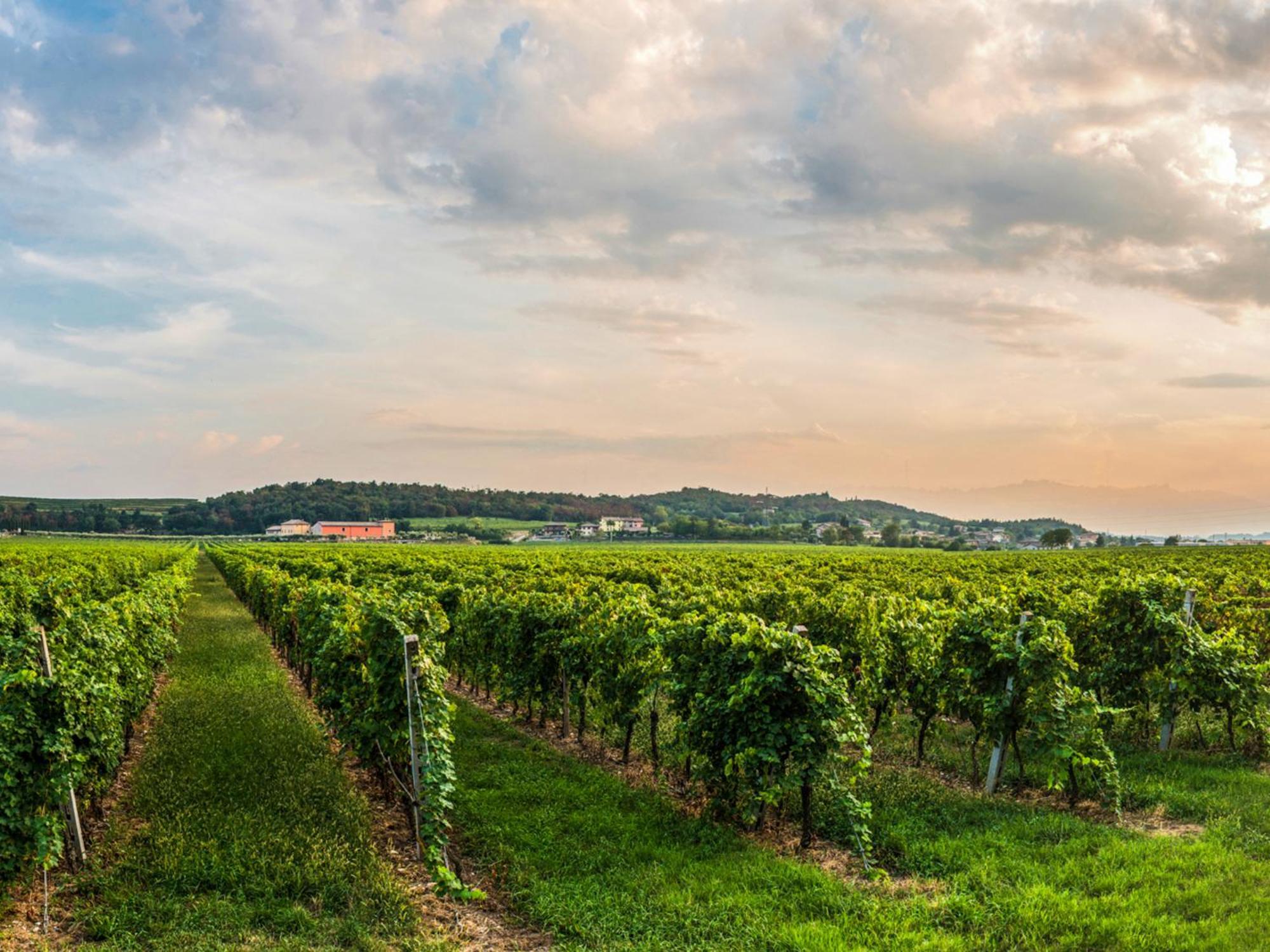 Tenuta La Presa Caprino Veronese Bagian luar foto
